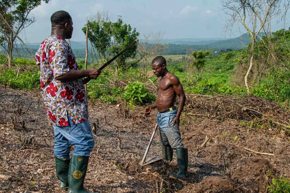 How to Read a Soil Test Report Before Fertilizing